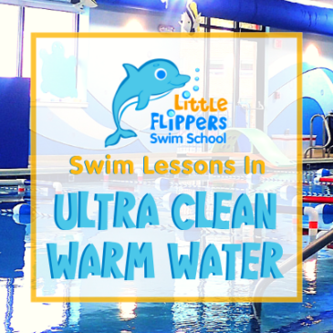 Swim Lessons in Ultra Clean, Warm Water